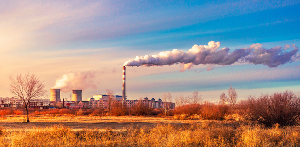 行業(yè)動態(tài)